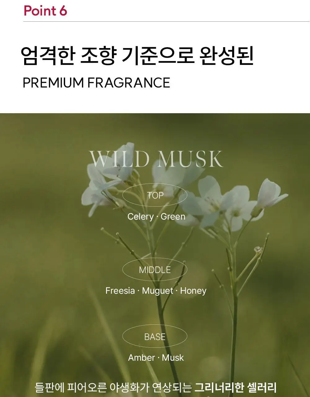[1위 속보습미스트] 뿌리는 바디로션 낫포유 크림 바디미스트 200ml 상세페이지 37